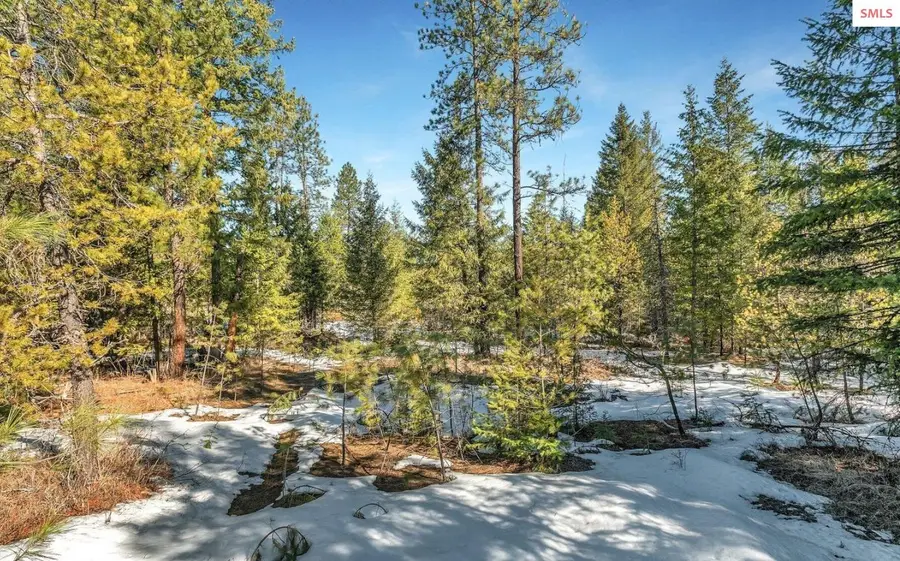 Nka Lot 1 Everett Huff Rd, Oldtown, ID 83822 - #3