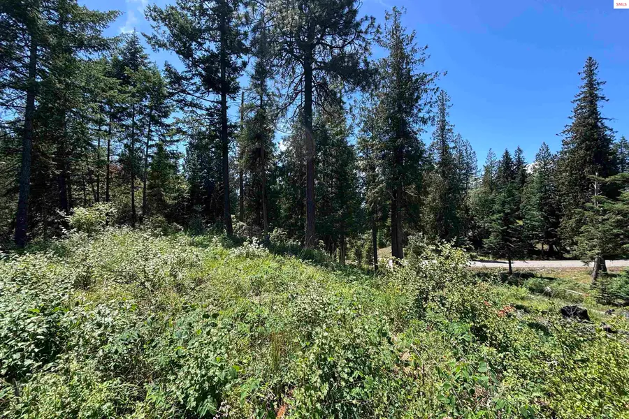 Lot 6 White Cloud Drive, Sandpoint, ID 83864 - #3