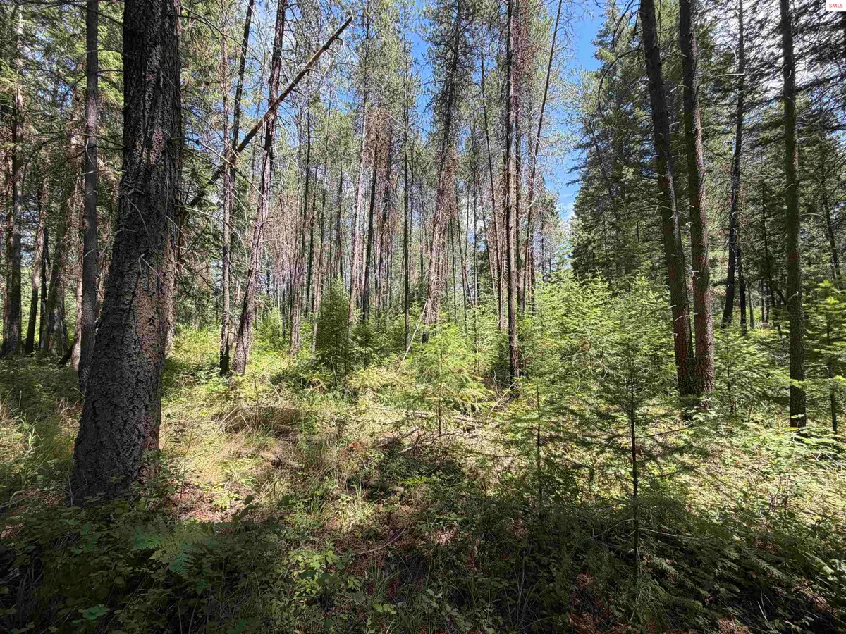 NNA 46 Ares Way, Priest River, ID 83864 - #1