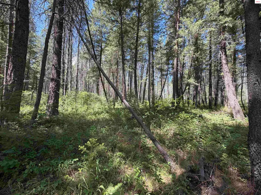NNA 46 Ares Way, Priest River, ID 83864 - #2