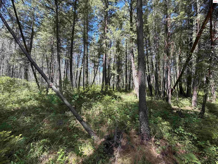 NNA 46 Ares Way, Priest River, ID 83864 - #3