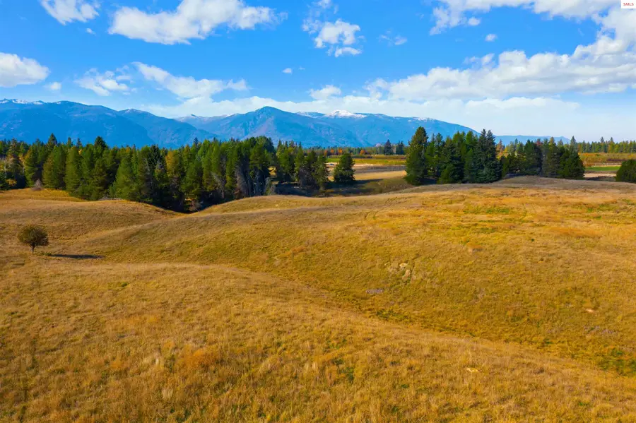 Lot 2 Royal Way, Bonners Ferry, ID 83805 - #3