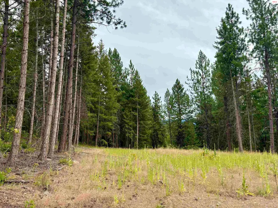 170 Wood Duck Lane, Bonners Ferry, ID 83805 - #2