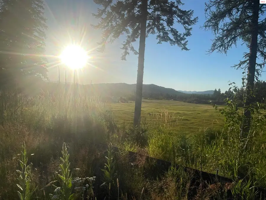 1787 Mud Gulch Rd, Priest River, ID 83856 - #3