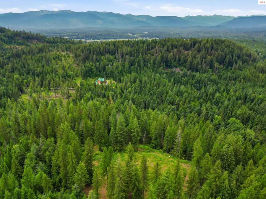 217 Whodathunkit Rd, Sandpoint, ID 83864 - #2