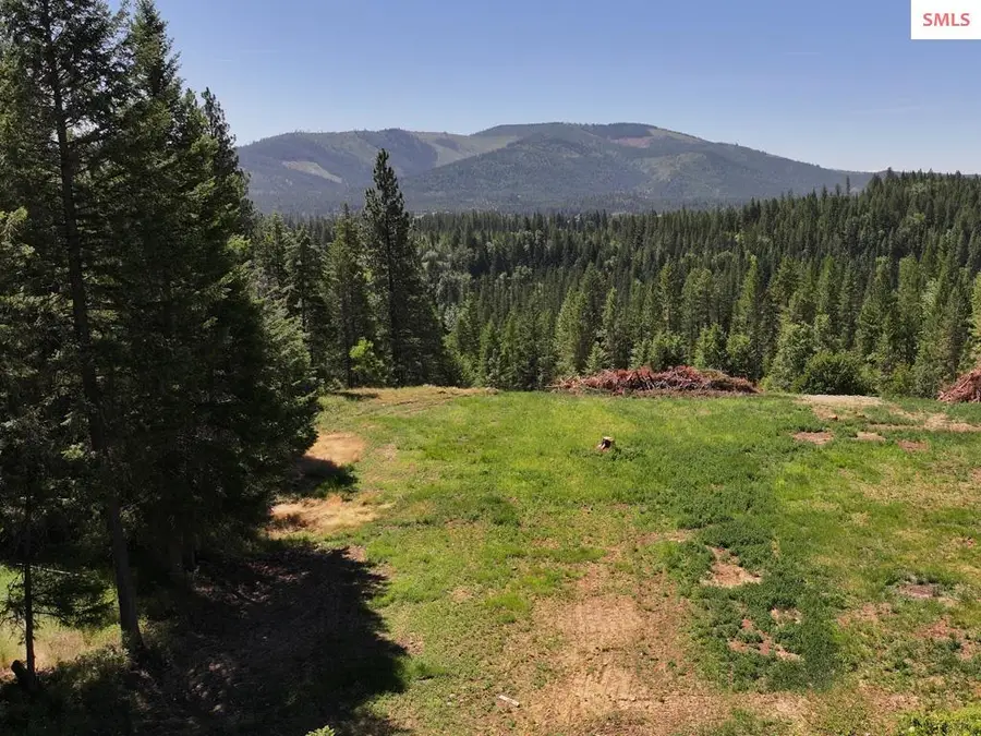 560 Terry Trail, Priest River, ID 83856 - #2