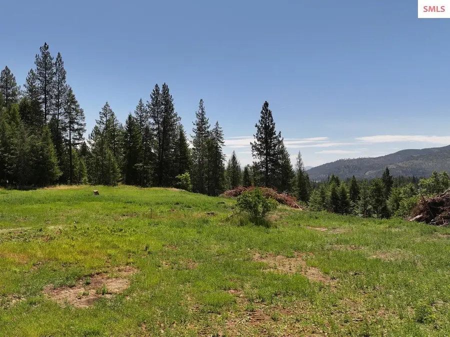 560 Terry Trail, Priest River, ID 83856 - #3