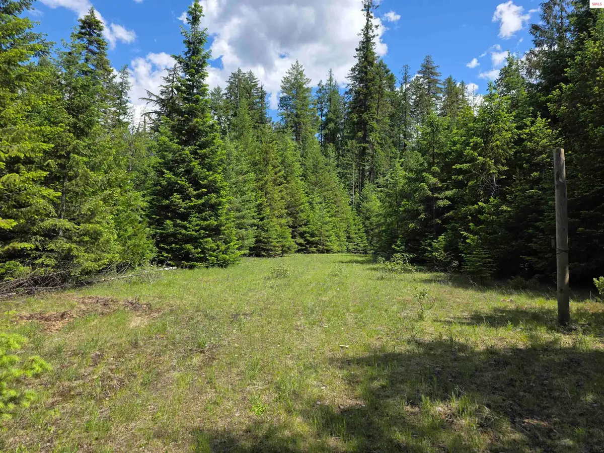 5784 River Rd, Clark Fork, ID 83811 - #1