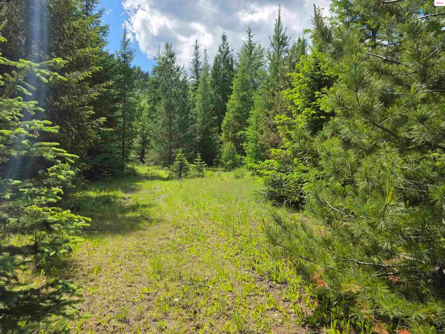 5784 River Rd, Clark Fork, ID 83811 - #2