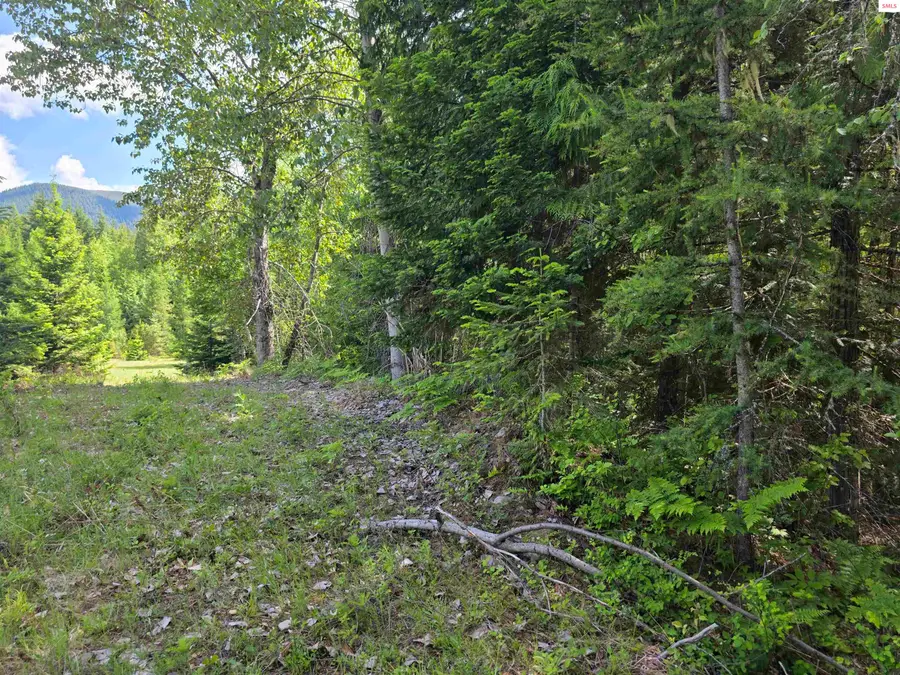5784 River Rd, Clark Fork, ID 83811 - #3