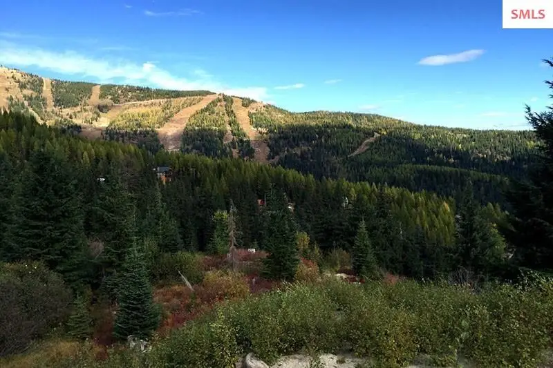 Lot 11A Avalanche Drive, Sandpoint, ID 83864 - #3