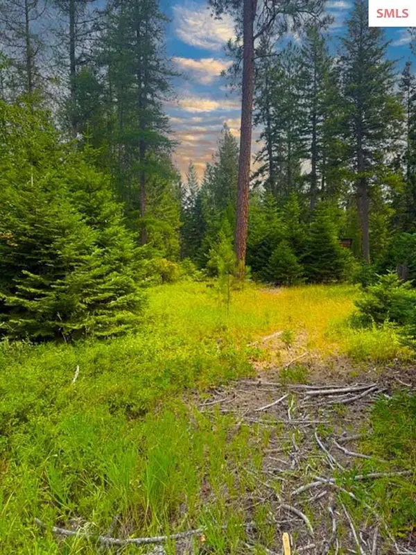NNA Ginger Ln., Bonners Ferry, ID 83805