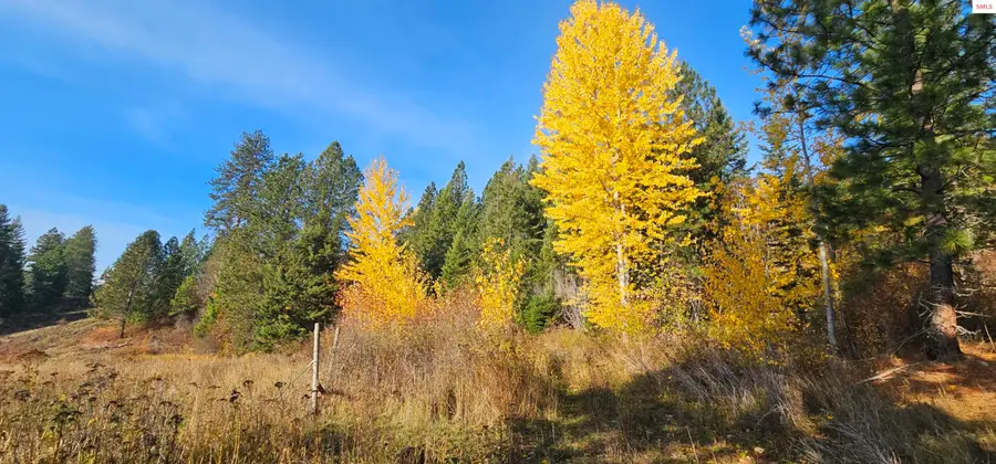 125 Tracker Way, Priest River, ID 83856 - #3