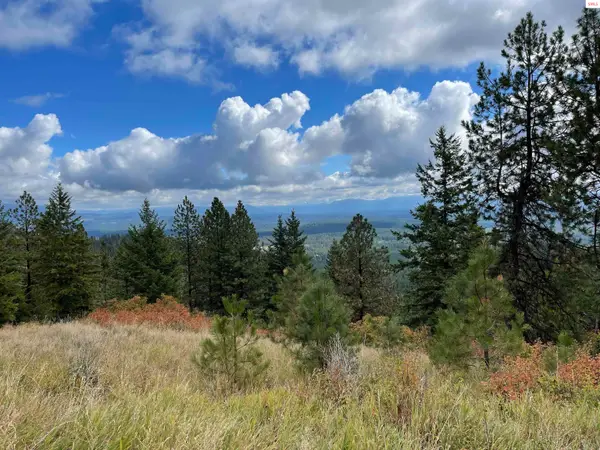 Glad Lane, Priest River, ID 83869