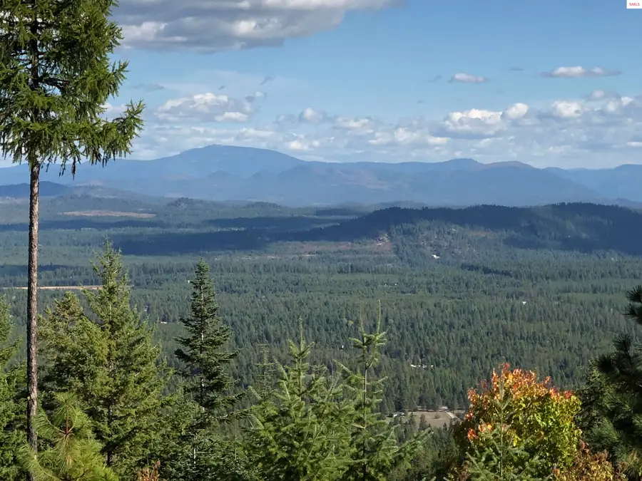 Glad Lane, Blanchard Glengary, ID 83869 - #2