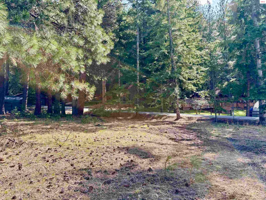 NNA Tannebaum, Bonners Ferry, ID 83805 - #2