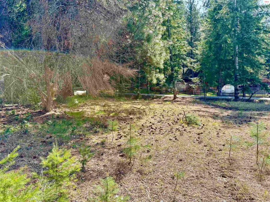 NNA Tannebaum, Bonners Ferry, ID 83805 - #3