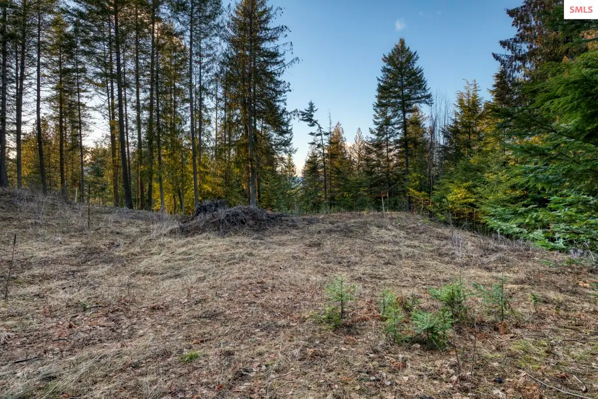 NNA White Cloud, Sandpoint, ID 83864 - #1