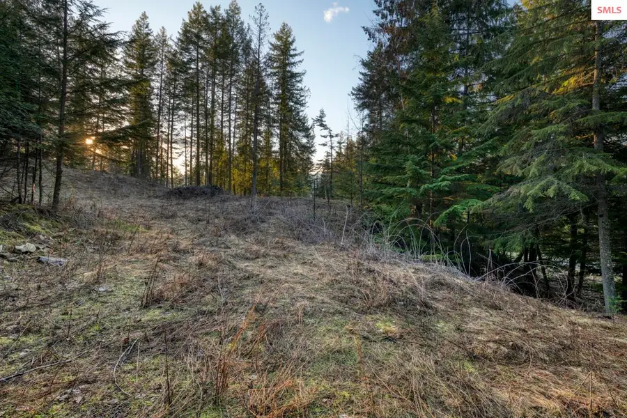 NNA White Cloud, Sandpoint, ID 83864 - #2