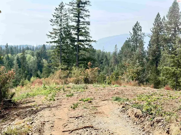 NNA Snowberry Lane, Sandpoint, ID 83864