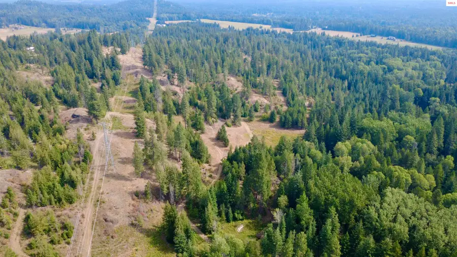NNA Snowberry Lane, Sandpoint, ID 83864 - #2