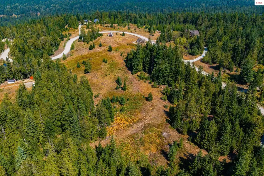 800 Rising Hawk Ridge, Sandpoint, ID 83864 - #3