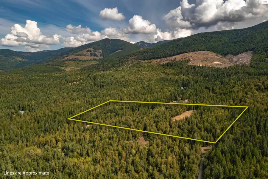 59 Cross Mtn Rd, Sandpoint, ID 83864 - #3
