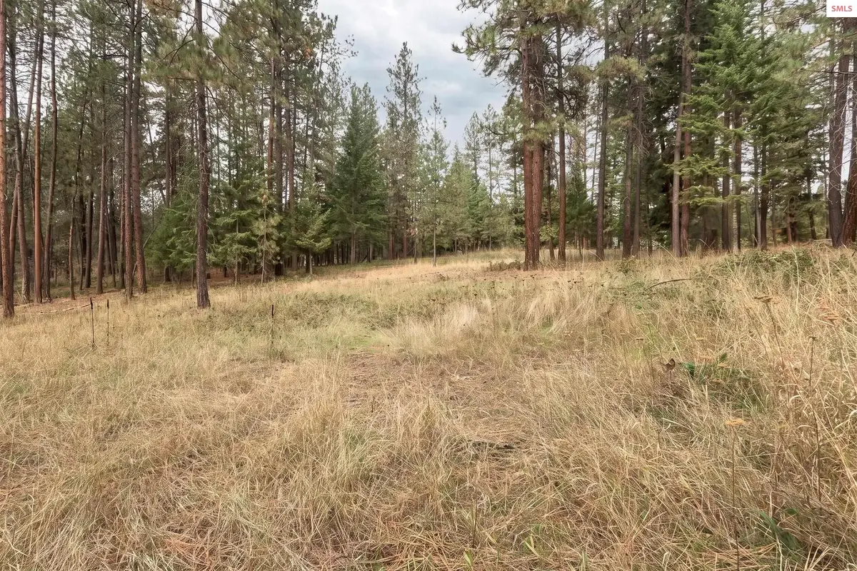 Lot 19 Canterbury Court, Moyie Springs, ID 83845 - #1