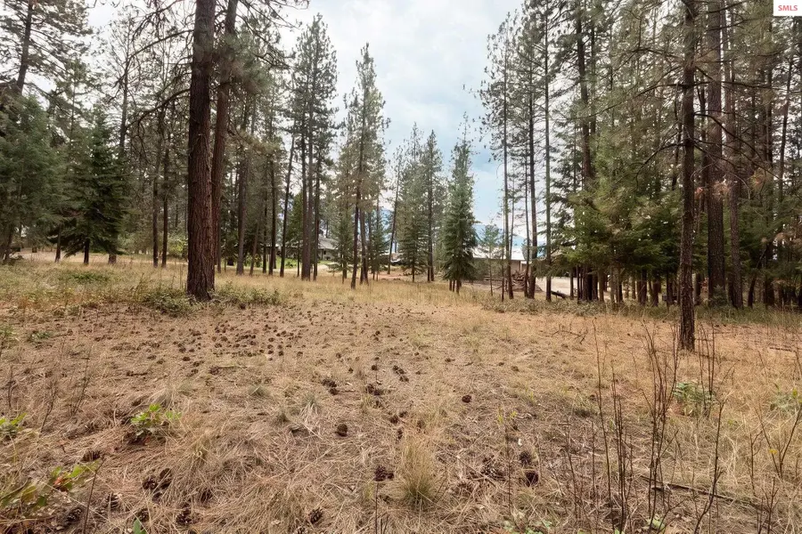 Lot 19 Canterbury Court, Moyie Springs, ID 83845 - #2