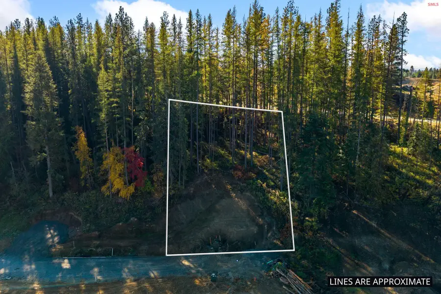 NKA Baja Lot 1 Ln, Oldtown, ID 83822 - #2