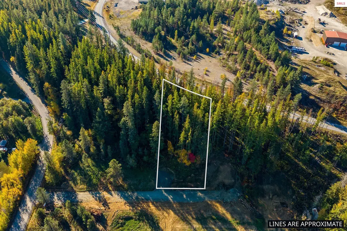 NKA Baja Lot 2 Ln, Oldtown, ID 83822 - #1