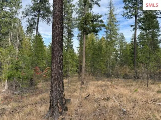 NNA (0451a) Jachetta Rd., Priest River, ID 83856 - #1