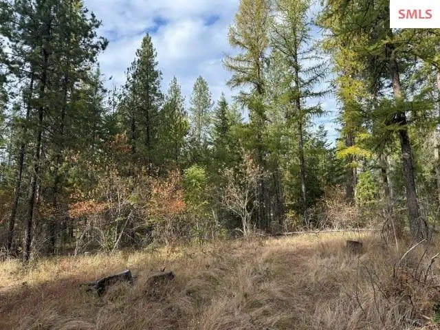 NNA (0451a) Jachetta Rd., Priest River, ID 83856 - #3