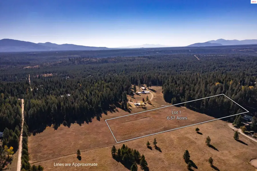 Lot 1 Misty Meadow Lane, Athol, ID 83801 - #2