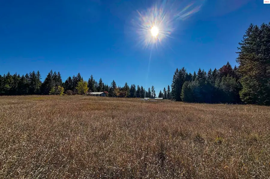 Lot 1 Misty Meadow Lane, Athol, ID 83801 - #3
