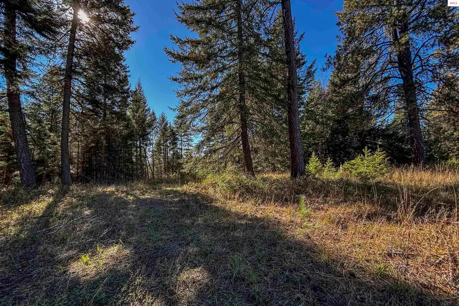 Lot 4 Misty Meadow Lane, Athol, ID 83801 - #2
