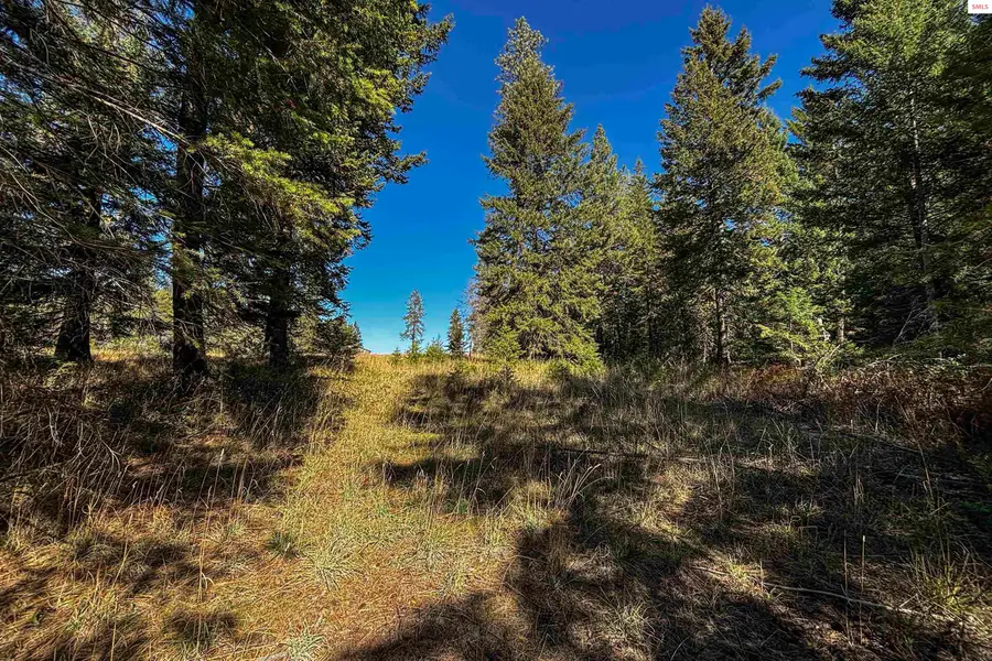 Lot 4 Misty Meadow Lane, Athol, ID 83801 - #3