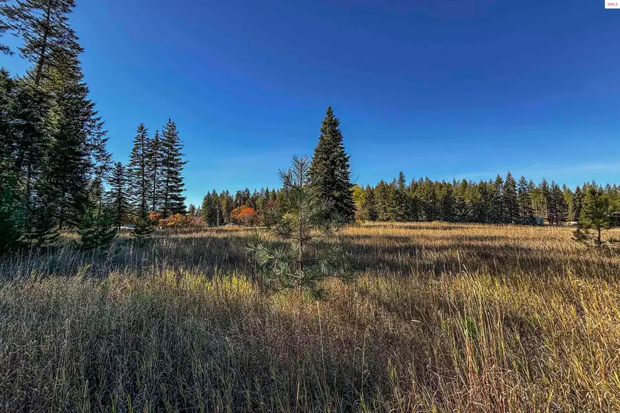 NKA Misty Meadow Lane, Athol, ID 83801 - #2