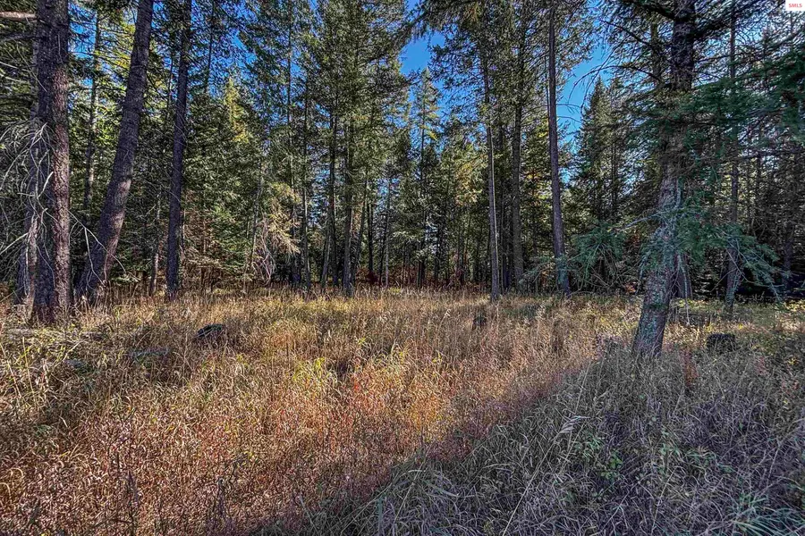 NKA Misty Meadow Lane, Athol, ID 83801 - #3