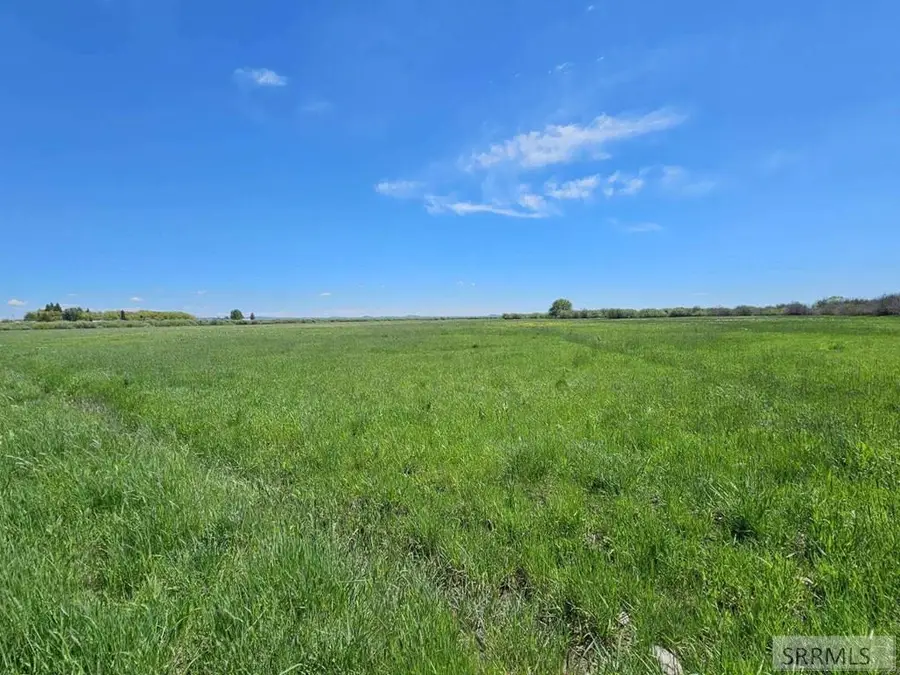 1670 Camas Road, Kilgore, ID 83423 - Image #3