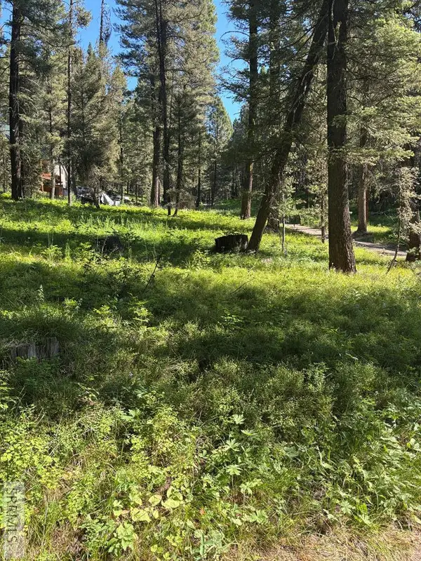 4121 Spruce Circle, ISLAND PARK, ID 83429