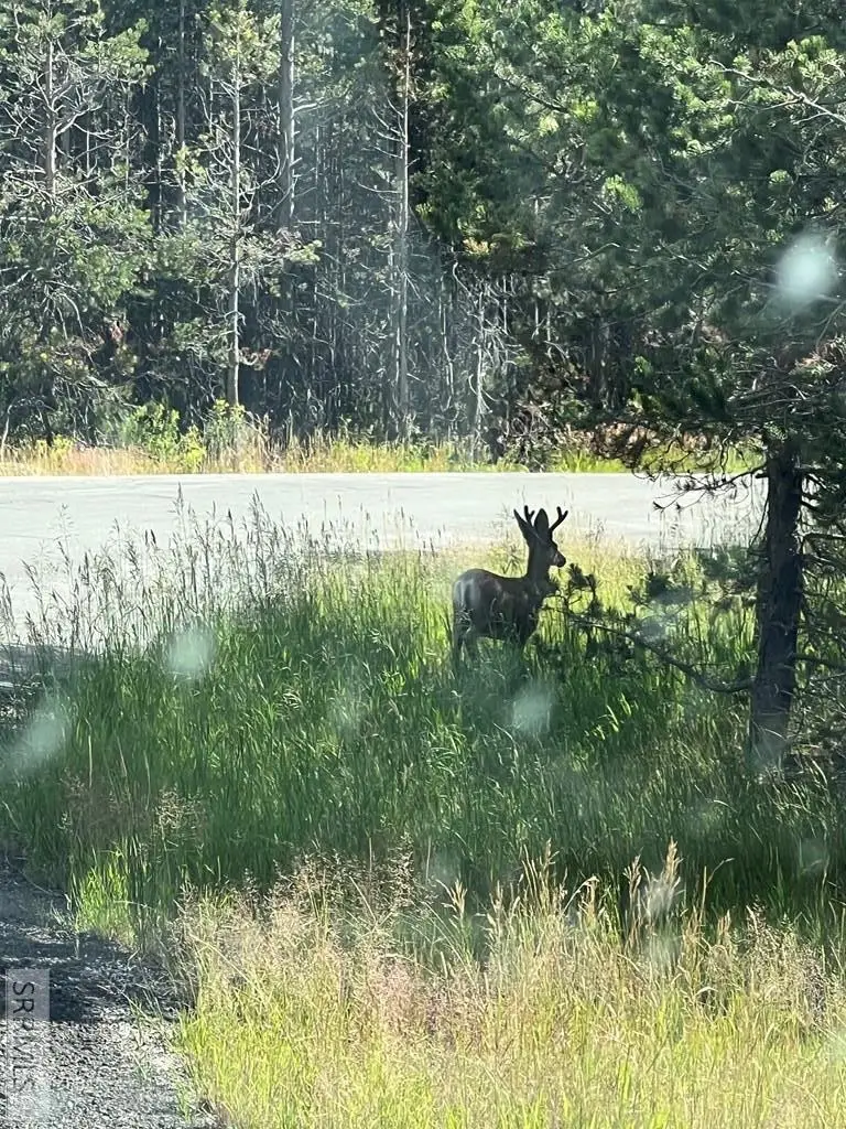 4513 Jm Loop, Island Park, ID 83429 - Image #2