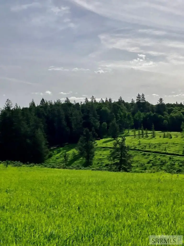 1656 Shadow Loop South, Ashton, ID 83420 - Image #1