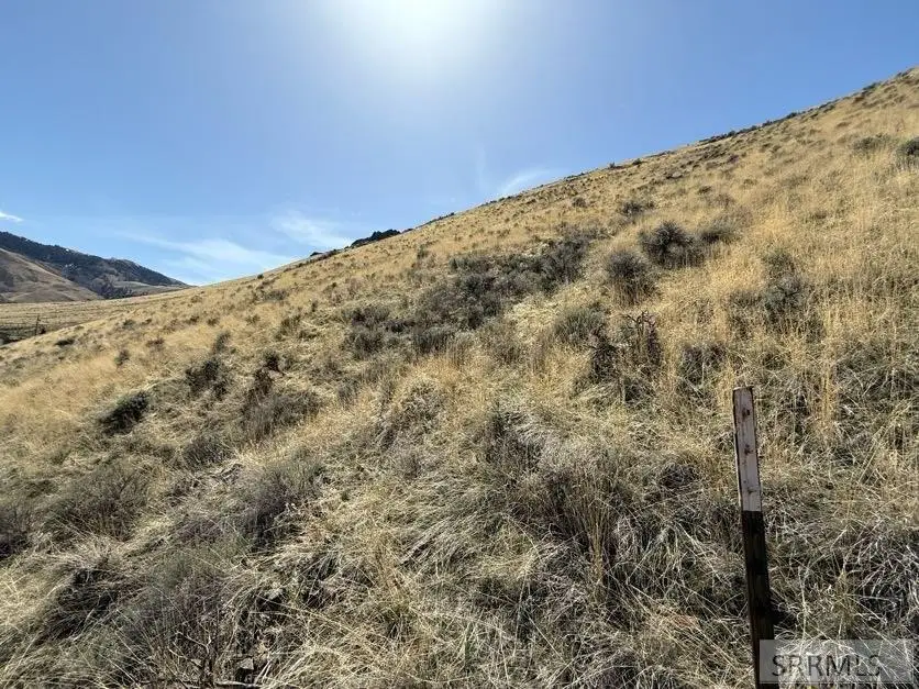 NKN Chukar Circle, Salmon, ID 83467 - Image #2