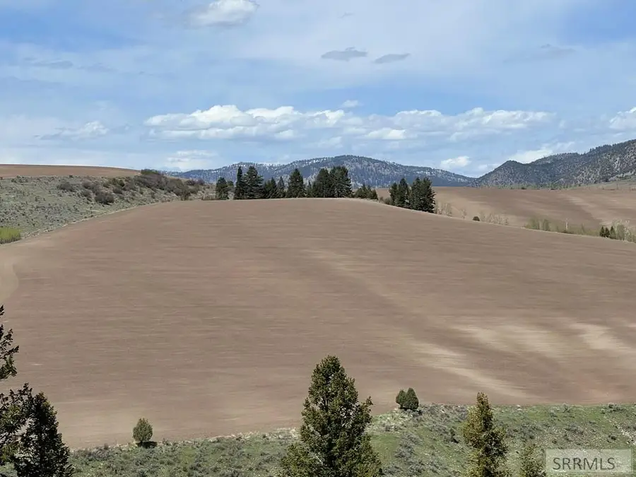 L31&32 Cutthroat Run, Irwin, ID 83428 - Image #3
