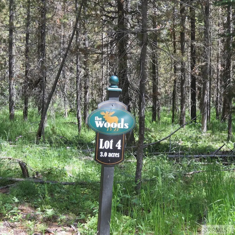 4063 Wood Lane, Island Park, ID 83429 - Image #2