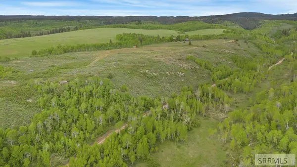 1542 Rim Loop Road, ASHTON, ID 83420