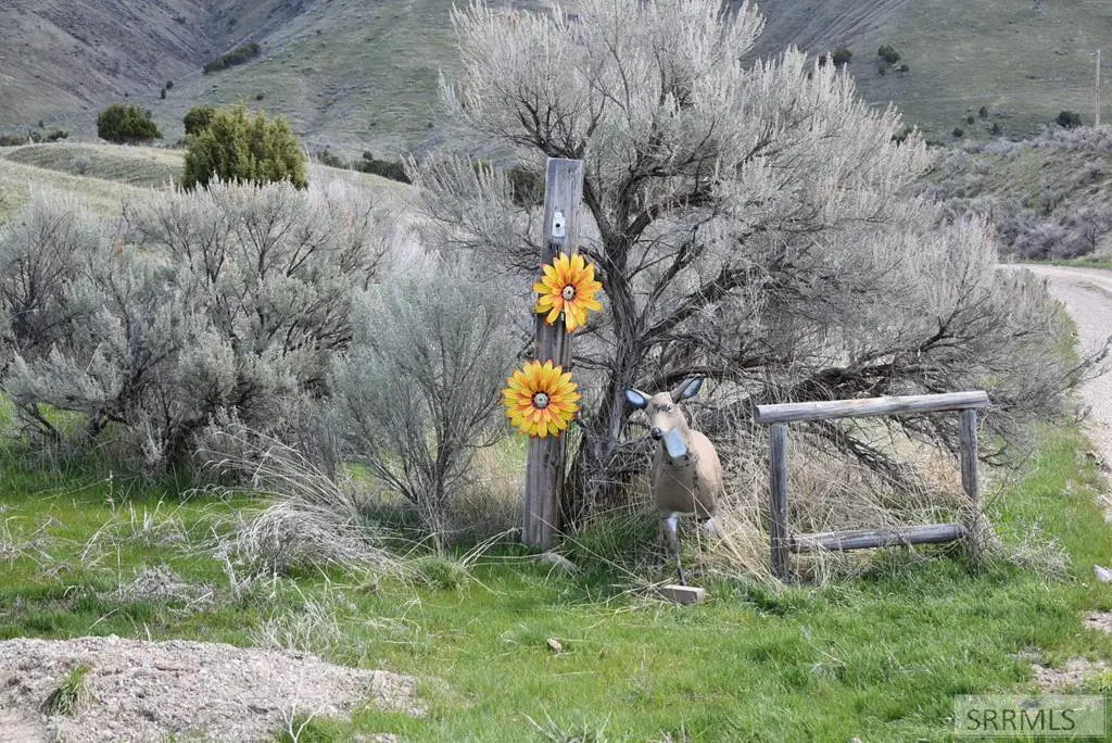 TBD Katsilometes Road, Pocatello, ID 83204 - #1