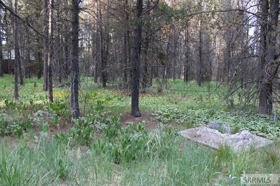 3511 Buffalo Lane, Island Park, ID 83429 - Image #3