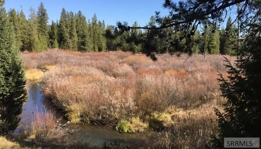 4047 Kickapoo Circle, Island Park, ID 83429 - Image #2